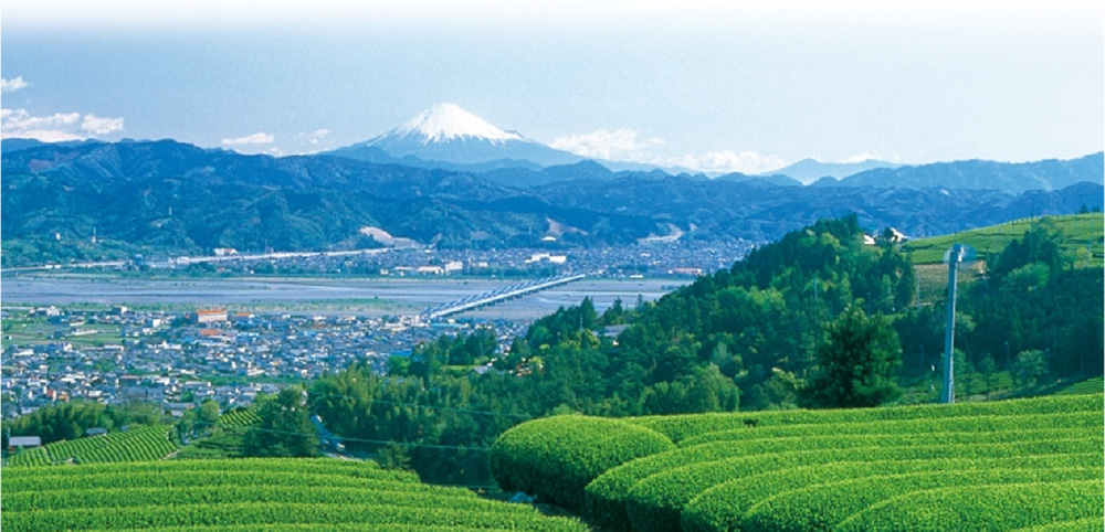 島田市自治会連合会