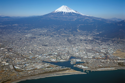 東部支部